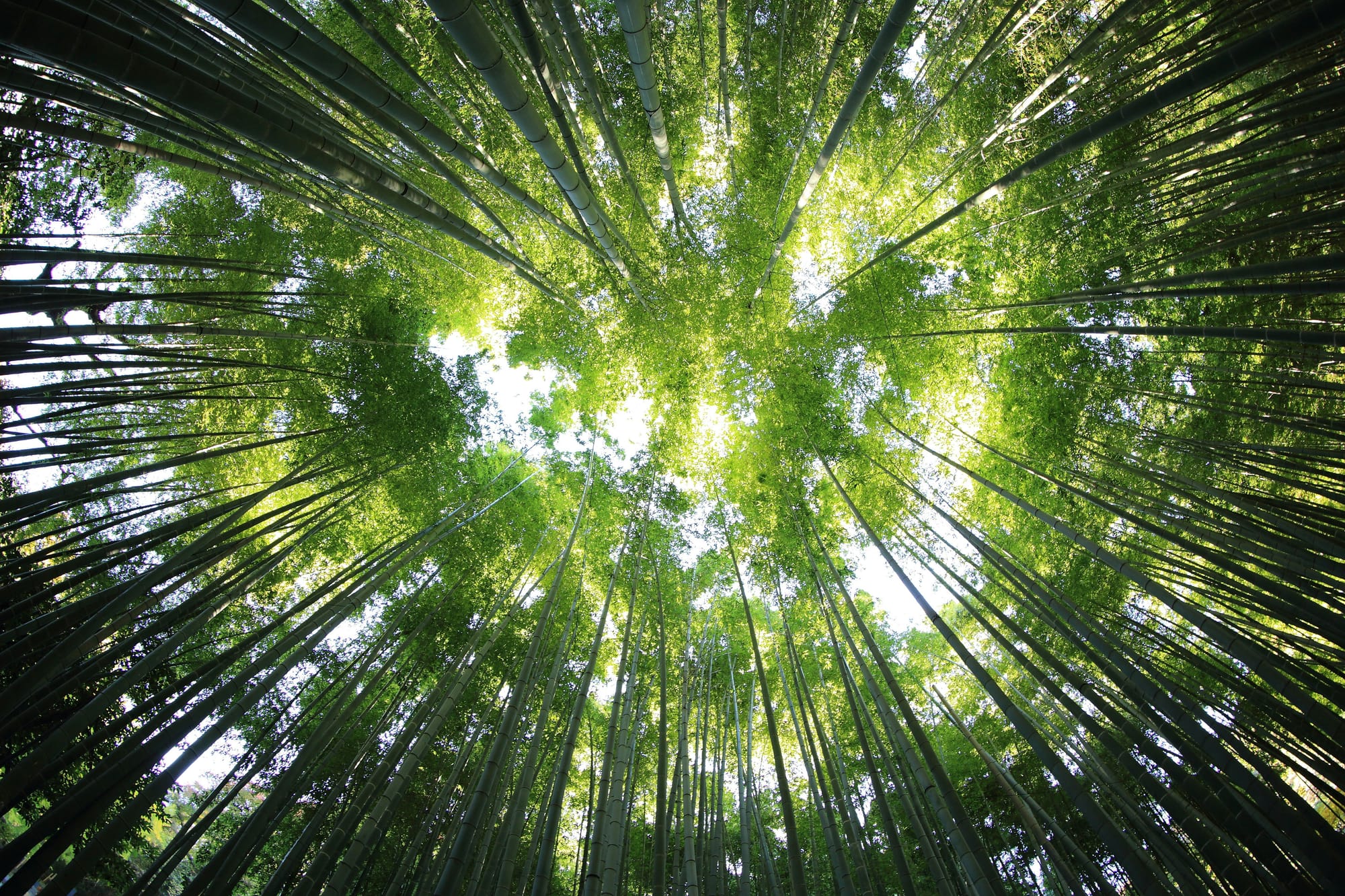Geleide meditatie: Een bewegende zitmeditatie