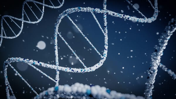 Stress kan DNA beschadigen