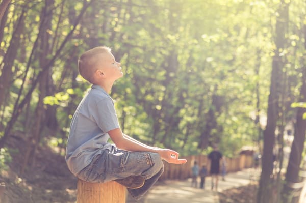 Je zou geen mindfulness nodig moeten hebben ...