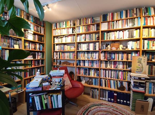 Wetenschap voorbij de domeinen
