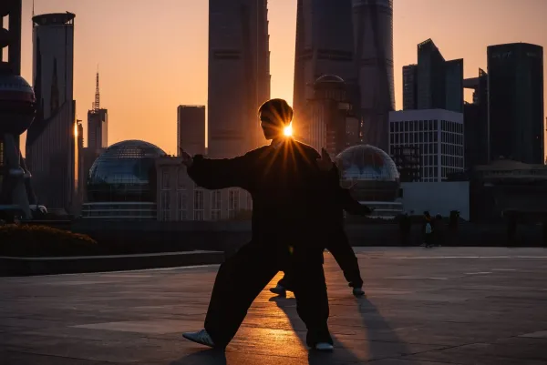 De Witte Kraanvogel spreidt zijn Vleugels of Het Zwanenmeer – is Tai Chi een dans?