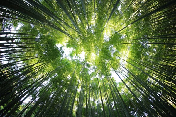 Geleide meditatie: Een bewegende zitmeditatie