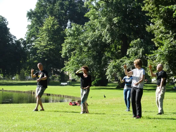 Tai Chi als leerproces en meditatie in beweging
